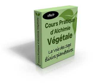 Cours d'alchimie végétale